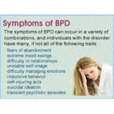 On-Line Therapy Programme for Borderline Personality Disorder